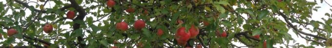 DSC02582.JPG