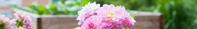 Grassl_Stoiber_Fotoshooting-100.jpg